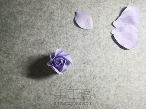 纸藤月季花 第20步