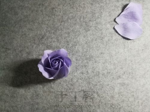 纸藤月季花 第22步