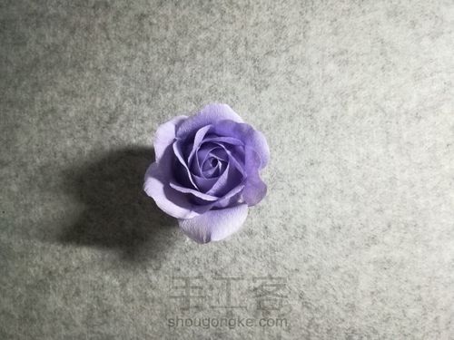 纸藤月季花 第25步