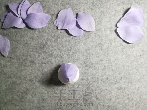 纸藤月季花 第9步