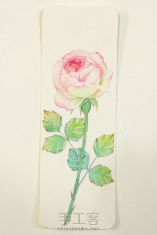 一支玫瑰的作画过程 第10步