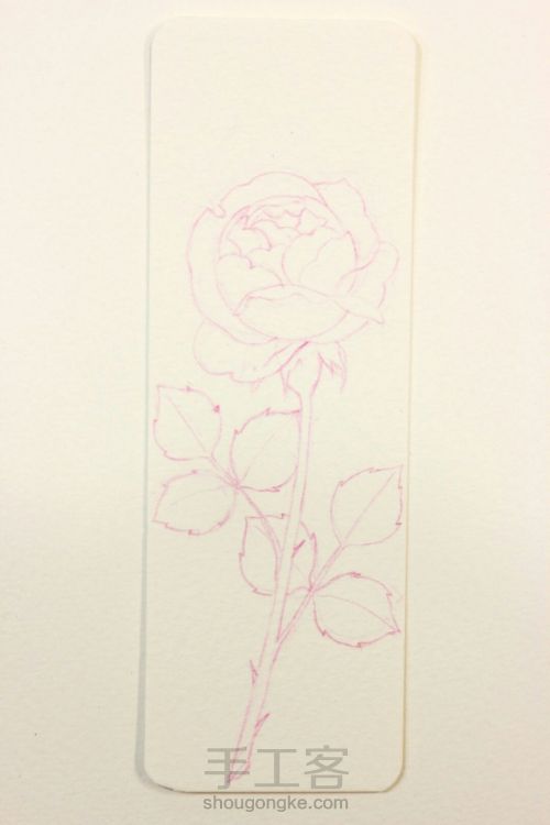 一支玫瑰的作画过程 第2步