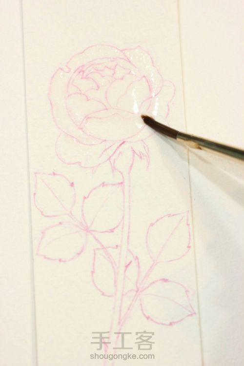 一支玫瑰的作画过程 第3步