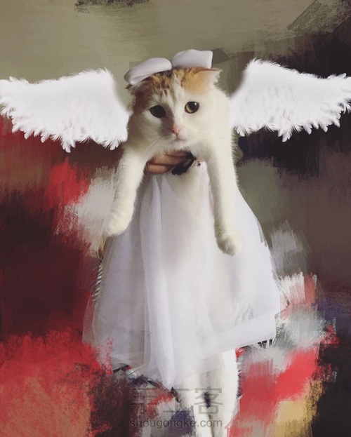 折耳猫咪头像挂件制作 第1步