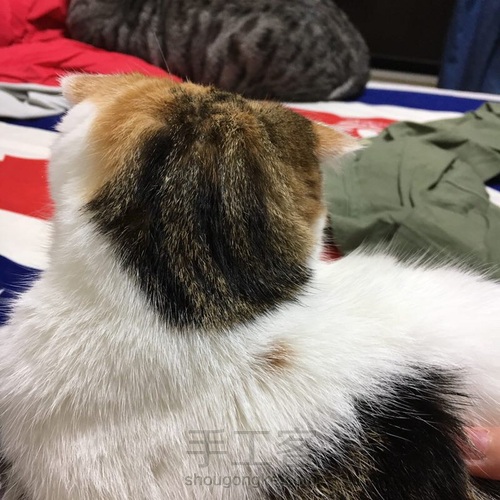 折耳猫咪头像挂件制作 第2步