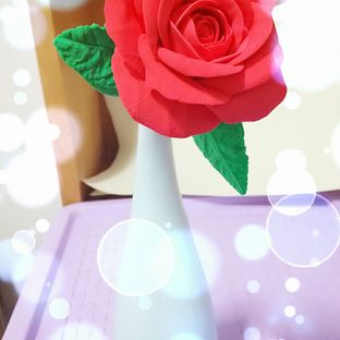 娇艳玫瑰花
