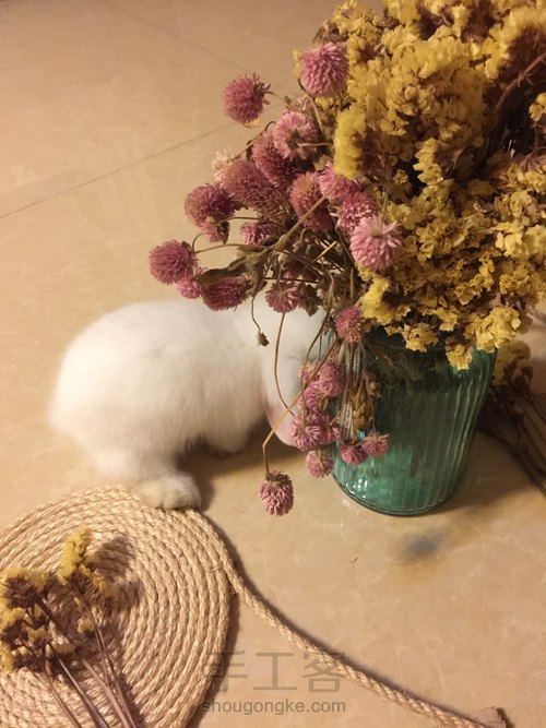 禅意挂件 第1步