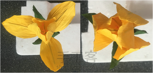纸艺郁金香制作教程A 第9步