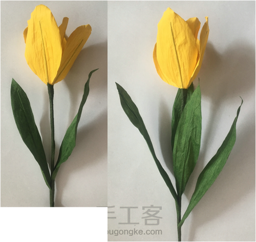 纸艺郁金香制作教程A 第8步