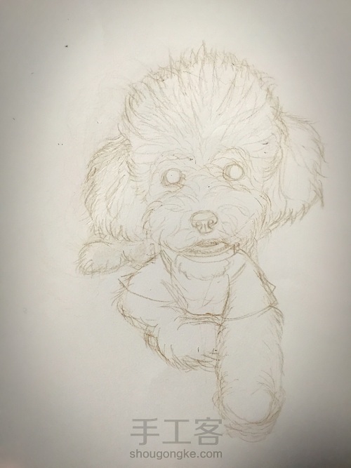 「彩铅」泰迪汪 第1步