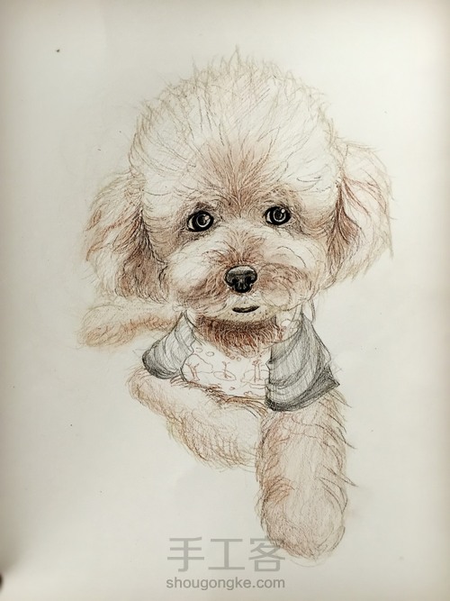 「彩铅」泰迪汪 第2步