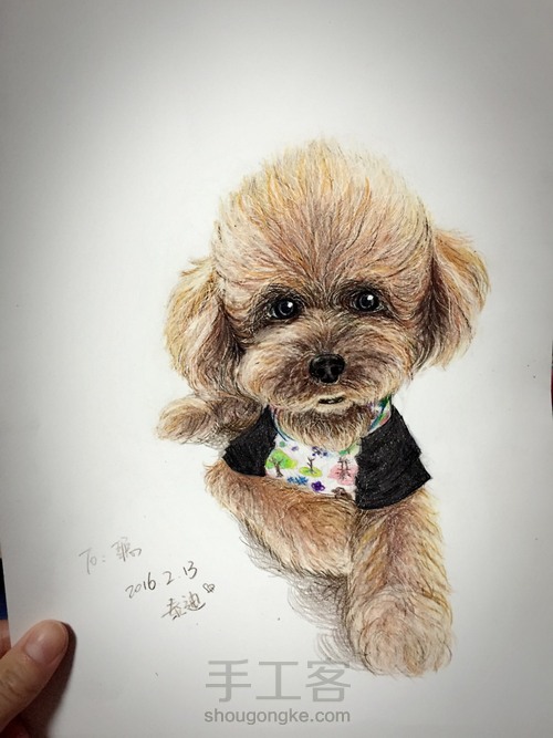 「彩铅」泰迪汪 第3步