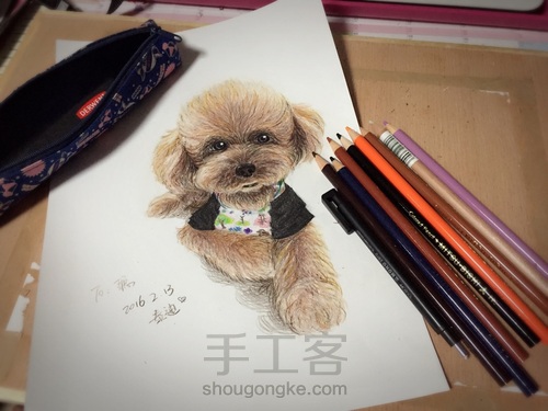 「彩铅」泰迪汪 第4步