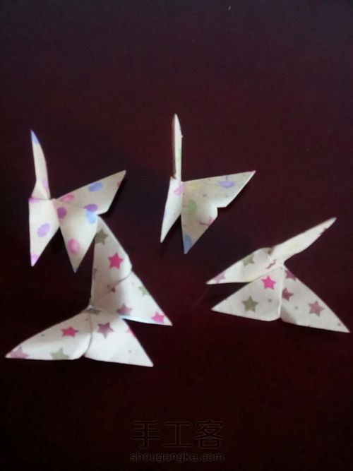 萌萌哒蝴蝶 第14步