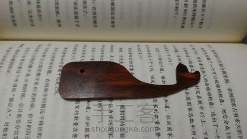 叮！成功捕捉一条鲸鱼！ 第11步