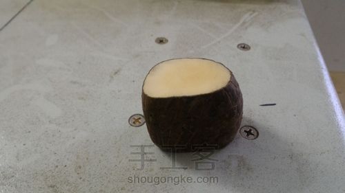 变废为宝!象牙果花器! 第3步