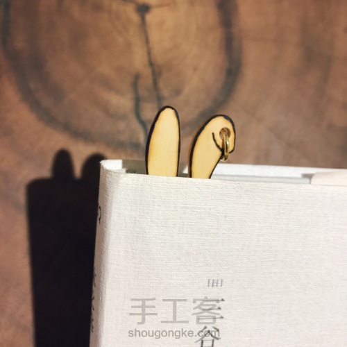“正经”越狱兔 书签 第8步