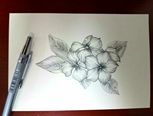白描长春花