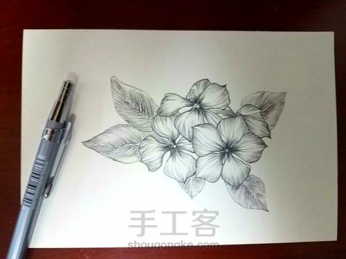 白描长春花 第4步