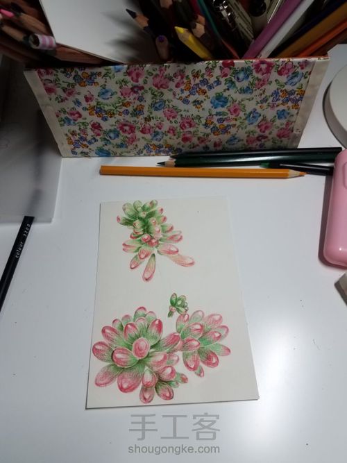 多肉 第4步