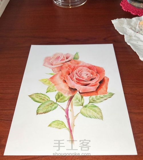 彩铅玫瑰 第10步