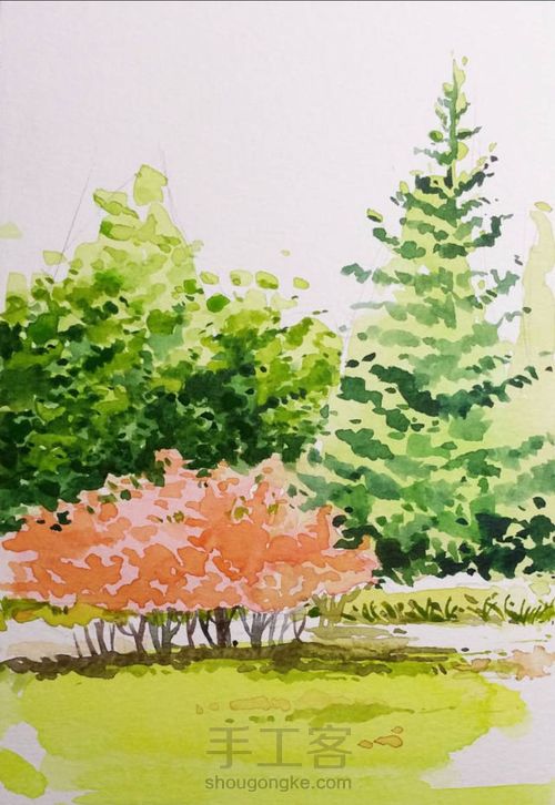 手把手教你画美腻的树林 第10步