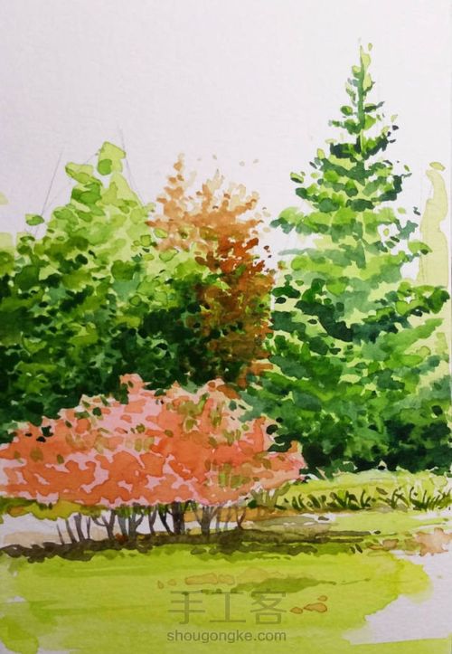 手把手教你画美腻的树林 第11步