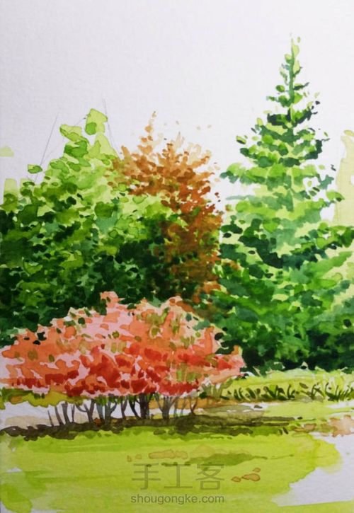 手把手教你画美腻的树林 第12步