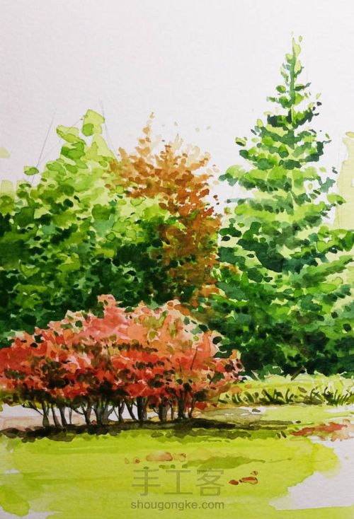 手把手教你画美腻的树林 第13步