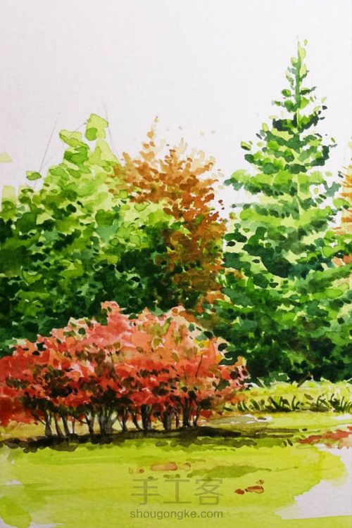 手把手教你画美腻的树林 第14步