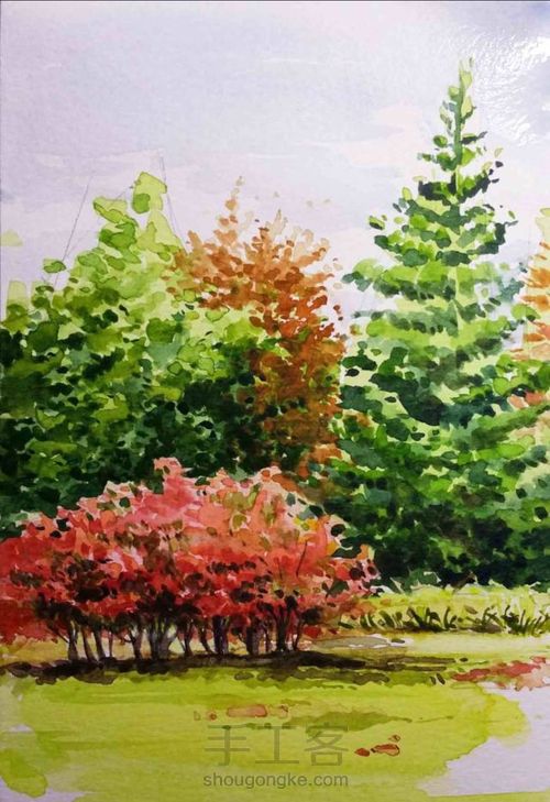 手把手教你画美腻的树林 第15步