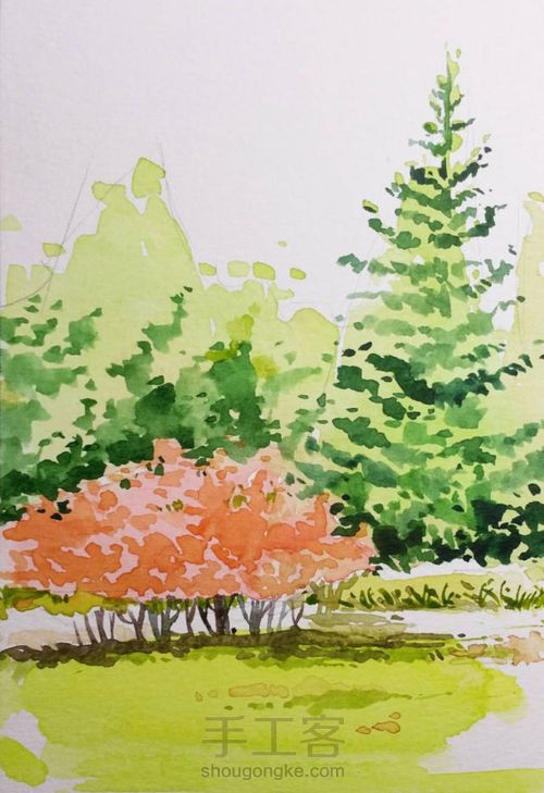 手把手教你画美腻的树林 第8步