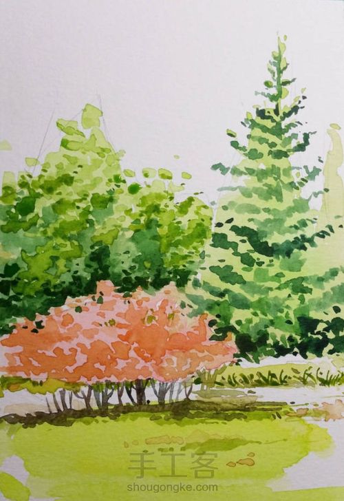手把手教你画美腻的树林 第9步