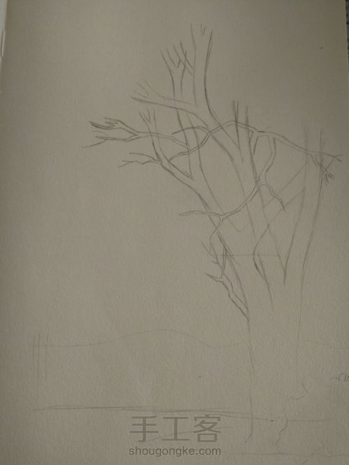钢笔画――树（一） 第1步