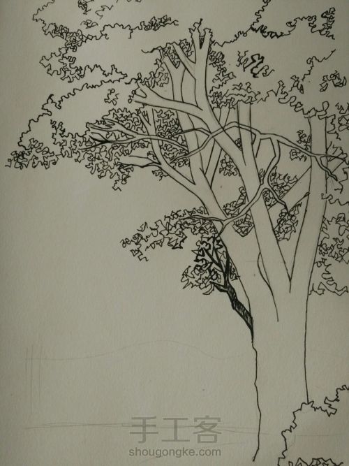 钢笔画――树（一） 第3步