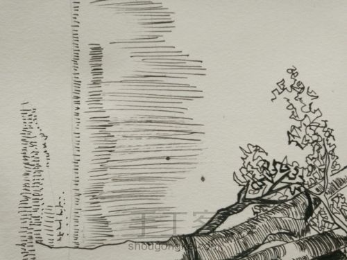 钢笔画――树（一） 第5步