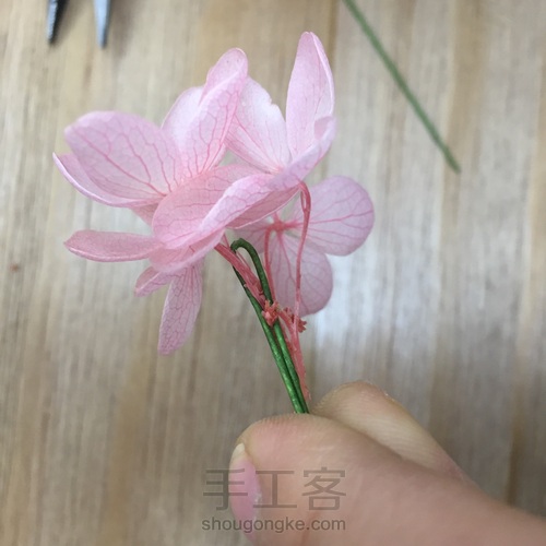 零基础花艺课-粉色系永生花小桌花by花功夫永生花 第14步