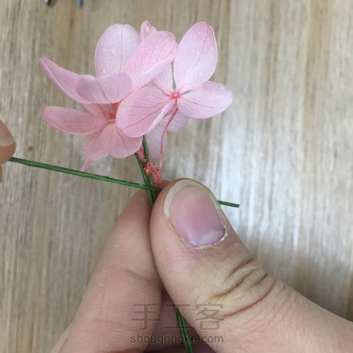 零基础花艺课-粉色系永生花小桌花by花功夫永生花 第15步