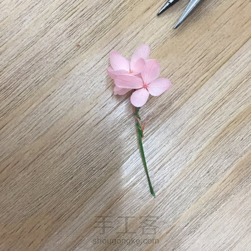 零基础花艺课-粉色系永生花小桌花by花功夫永生花 第18步