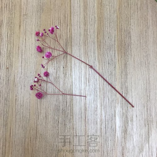 零基础花艺课-粉色系永生花小桌花by花功夫永生花 第19步