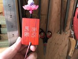 做一个有“芯”的平安无事牌