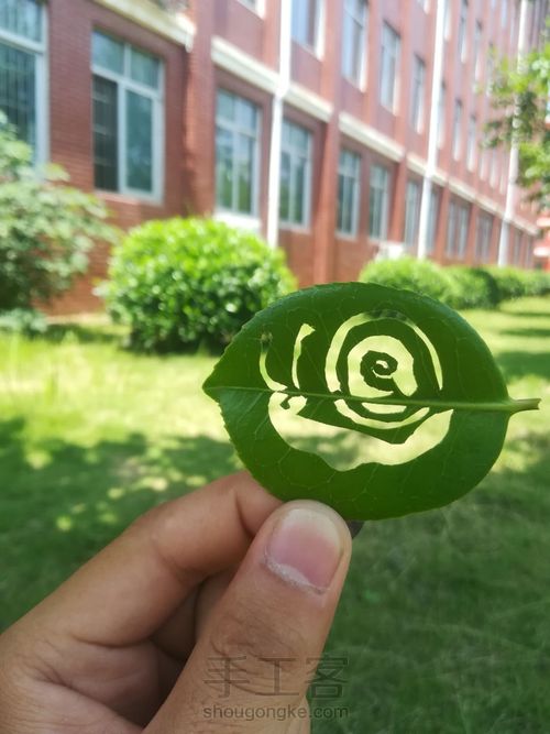 叶雕小蜗牛 第2步