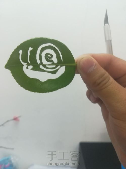 叶雕小蜗牛 第3步