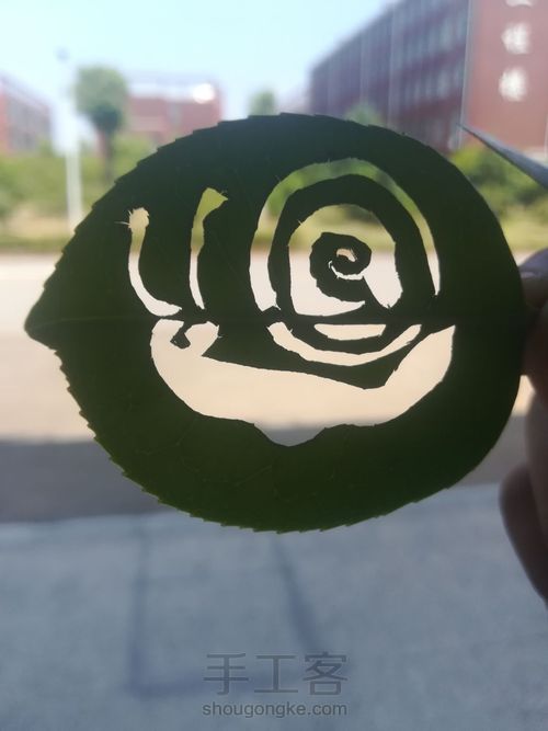 叶雕小蜗牛 第4步