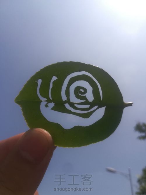 叶雕小蜗牛 第5步