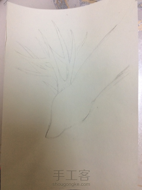 萌萌哒小鹿 第1步