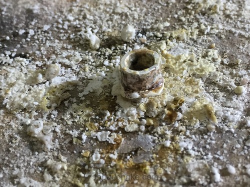 茄紫色翡翠的转运红绳 第7步