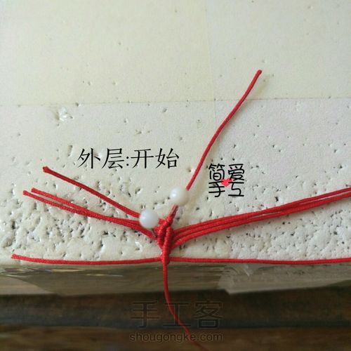 简单荷花教程 第1步