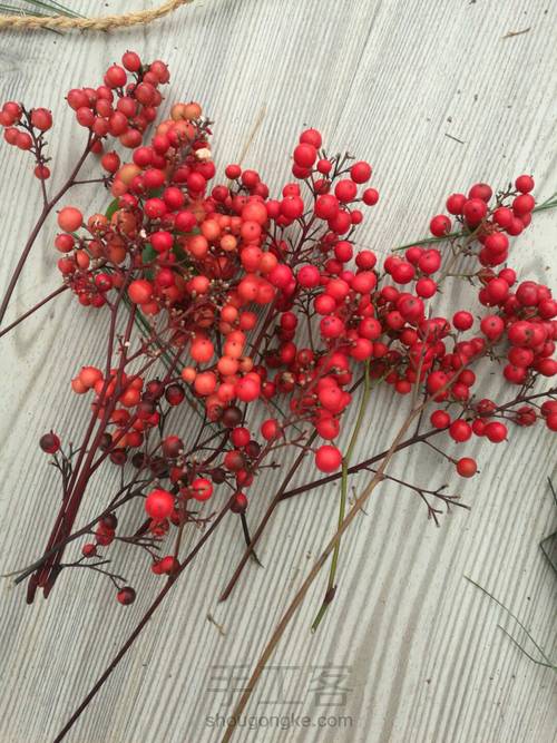 0元DIY圣诞花环，给自己的圣诞礼物。 第4步