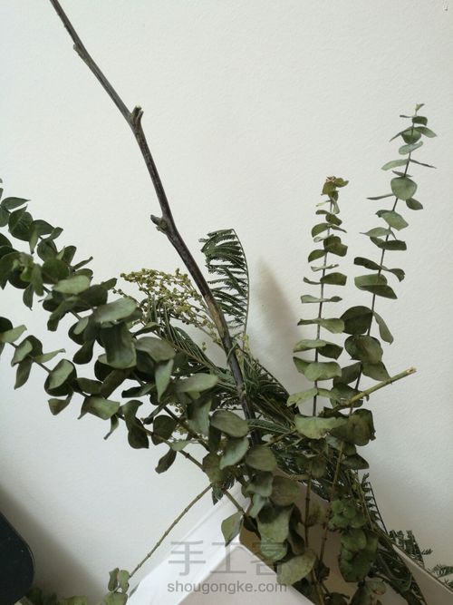 0元DIY圣诞花环，给自己的圣诞礼物。 第5步